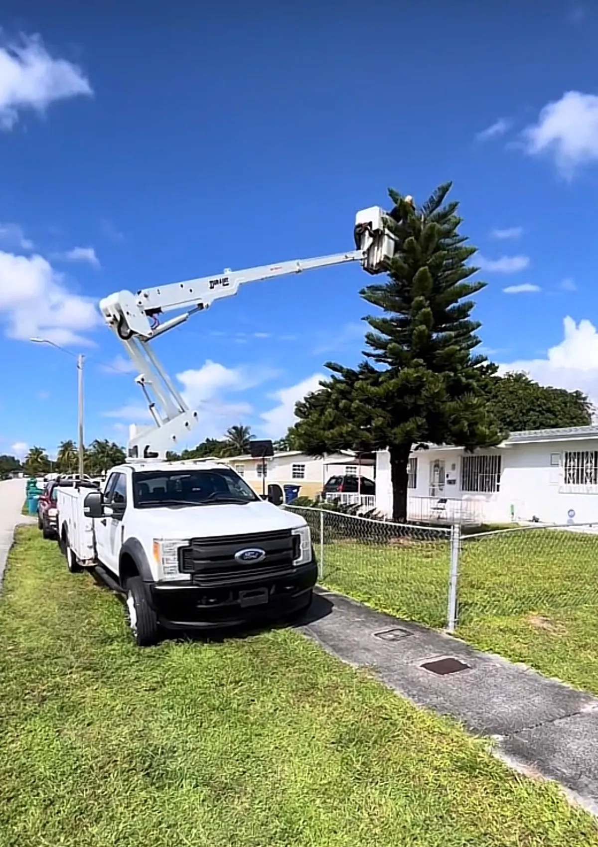Bucket truck with crane extended for tree trimming
